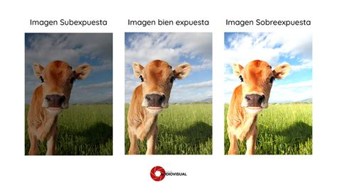 Fotografía de la Muestra Itinerante “Desplazamientos En Ceniza” o elementos artísticos de la exposición