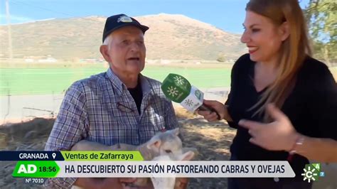 Entrevista de televisión a Marcelina Aguilera arriando cabras