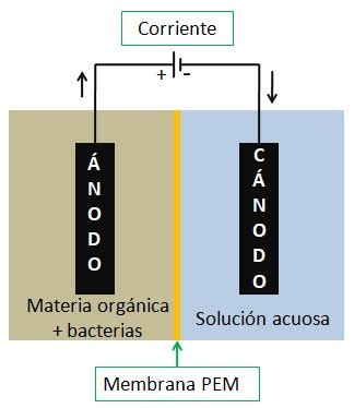 Esquema de una celda de combustible microbiana mostrando el flujo de aguas residuales y la generación de electricidad.