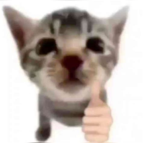 Foto del meme de la 