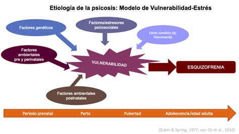 Esquema de las causas y efectos de la vulnerabilidad psicológica en niños institucionalizados