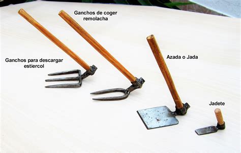 Representación esquemática de diferentes tipos de azadas y sus partes: lámina, filo y mango.