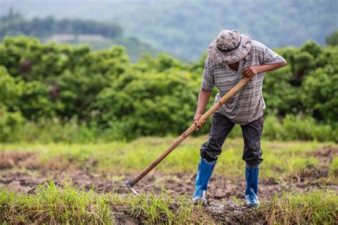 Recreación artística de un antiguo agricultor utilizando una azada de piedra.