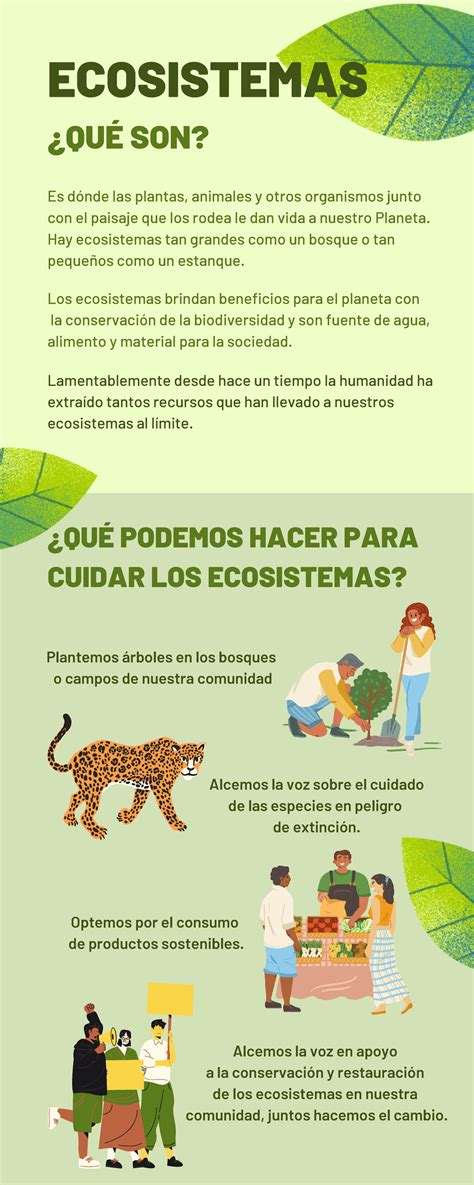 Infografía sobre los tres momentos del programa PIEM de la UNR para el desarrollo de innovaciones educativas