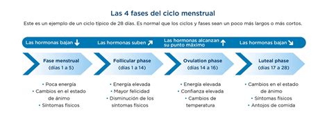 Gráfico de las fases emocionales durante la jubilación