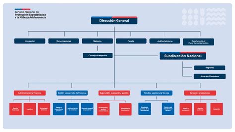 Organigrama del Servicio Nacional de Menores en 2021, mostrando su estructura y departamentos.
