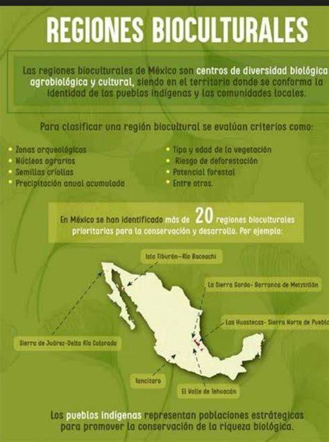 Infografía: Mapa de internaciones y regiones con mayor promedio de internación