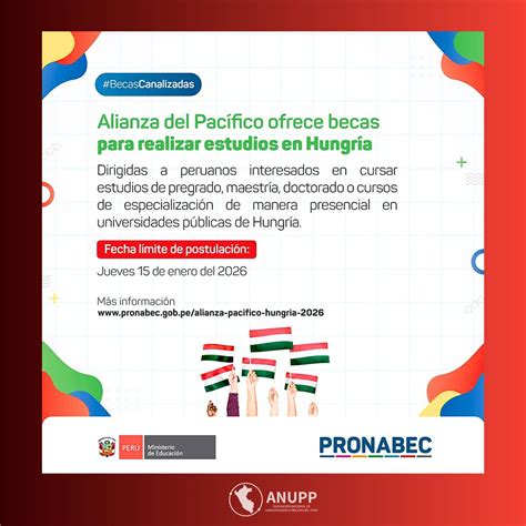Esquema: Proceso de postulación a becas de cooperación internacional