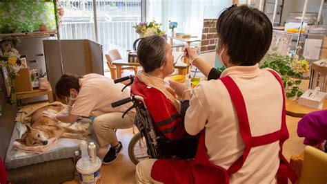 Perro shiba Bunpuku en una residencia geriátrica interactuando con un anciano