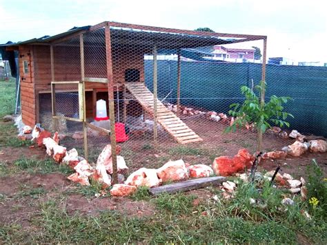 Fotografía temática de un gallinero rústico en Chile
