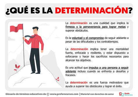 Infografía que detalla los cuatro criterios clave para la determinación de la invalidez.