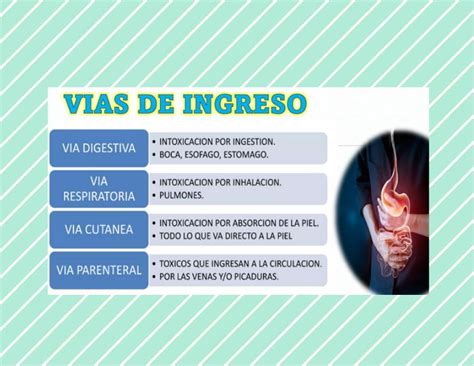 Infografía que detalla las diferentes vías de ingreso al programa Más AMA, con iconos representativos para cada una.