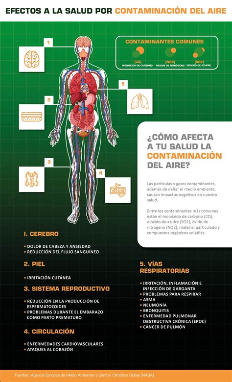 Infografía sobre los efectos de la contaminación del aire en la salud respiratoria y cardiovascular