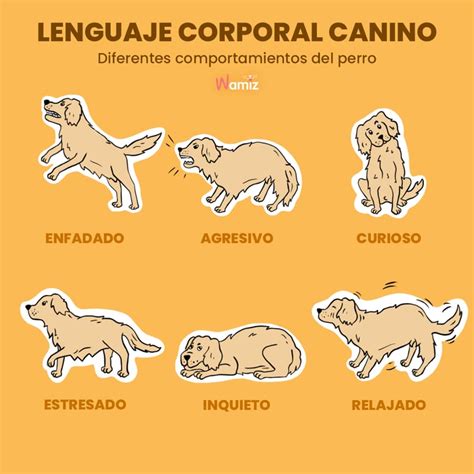 Esquema de lenguaje corporal canino