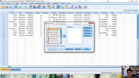 captura de pantalla de SPSS con la ventana de opciones de Casillas, mostrando 