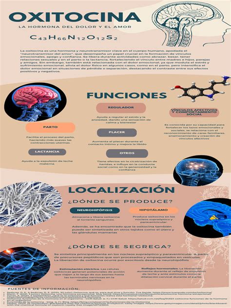 Infografía sobre la relación entre abrazos, oxitocina y sus efectos en la presión arterial