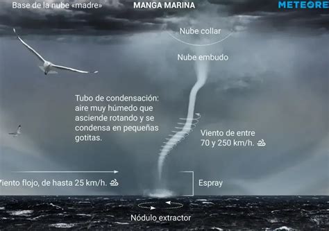 Esquema de las fases de formación de una tromba marina