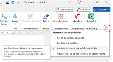 Interfaz de Calaméo mostrando opciones de personalización de documentos