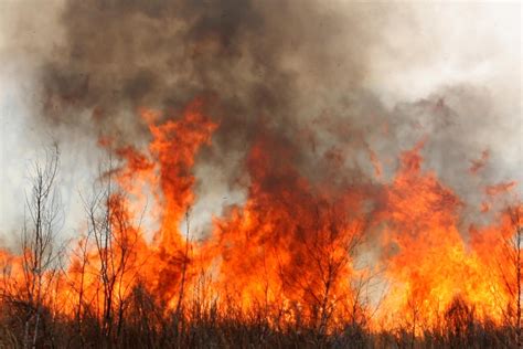 Imagen de incendio forestal propagándose rápidamente en un área rural con vegetación seca.