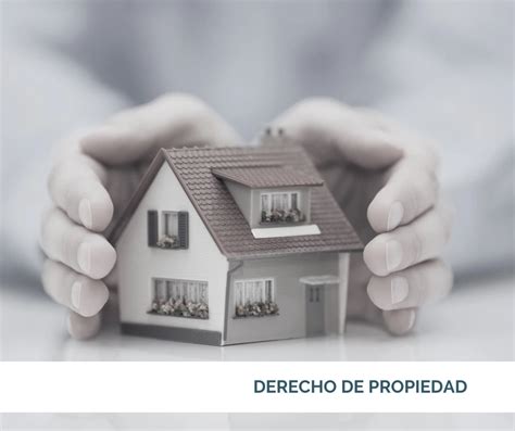Infografía sobre las distintas concepciones del derecho a la propiedad