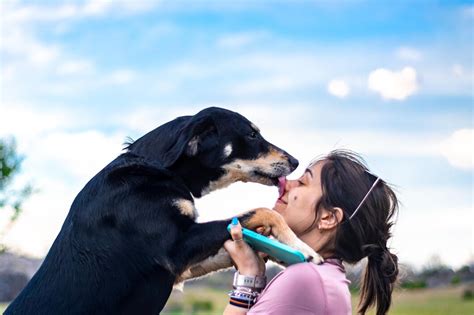 perro jugando con su dueña en el parque