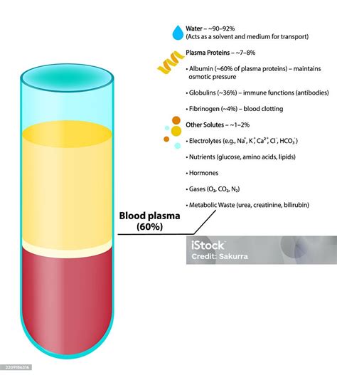 infografía sobre el estudio de proteínas en plasma sanguíneo y envejecimiento