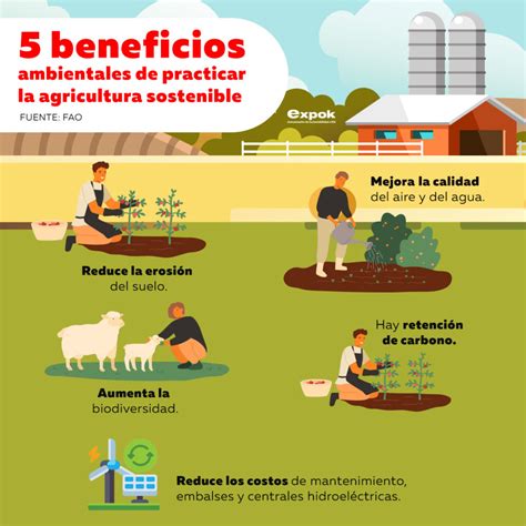 Infografía: Beneficios de la agricultura familiar campesina para Chile (seguridad alimentaria, cultura, desarrollo rural).