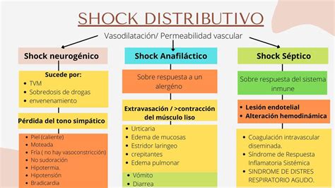 Infografía: Los cuatro shocks estratégicos y su impacto en la seguridad occidental