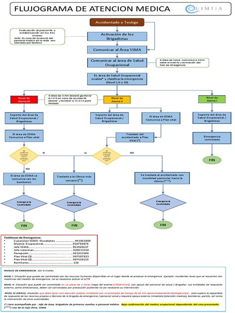 Esquema: Proceso de atención médica geriátrica a domicilio
