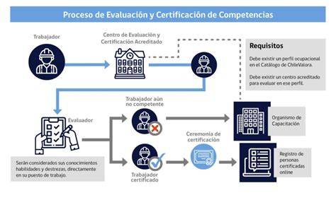 Infografía: Proceso de verificación de elegibilidad y pasos para iniciar cuidados paliativos domiciliarios
