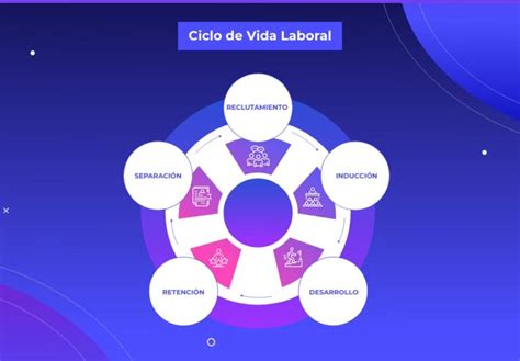 Infografía: etapas del ciclo de vida profesional y conceptos clave de la jubilación activa.