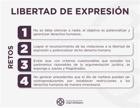 Esquema sobre la colisión entre libertad de expresión y derechos empresariales en redes sociales