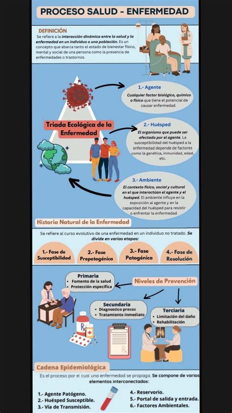 esquema o infografía sobre el proceso de curaduría y permisos
