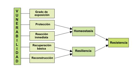 Esquema de las dimensiones de la vulnerabilidad social y estructural