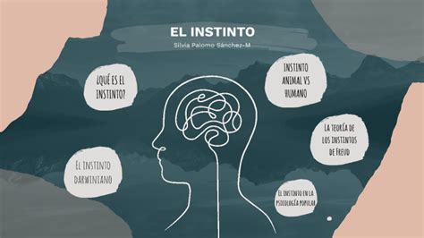 Esquema sobre la teoría de los instintos de McDougall y sus componentes