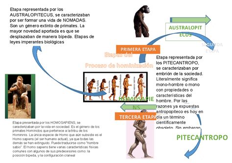 Esquema o diagrama sobre la evolución de la representación del cuerpo femenino en el arte