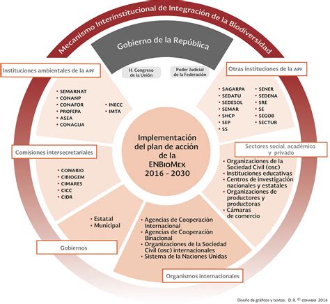 Infografía mostrando la coordinación interinstitucional para la respuesta sanitaria