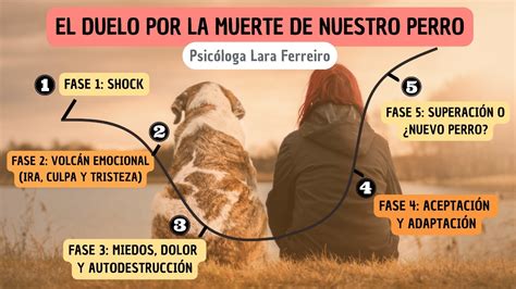 esquema fases del duelo por la pérdida de una mascota