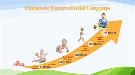 Gráfico comparativo del desarrollo del lenguaje en niños de diferentes niveles socioeconómicos