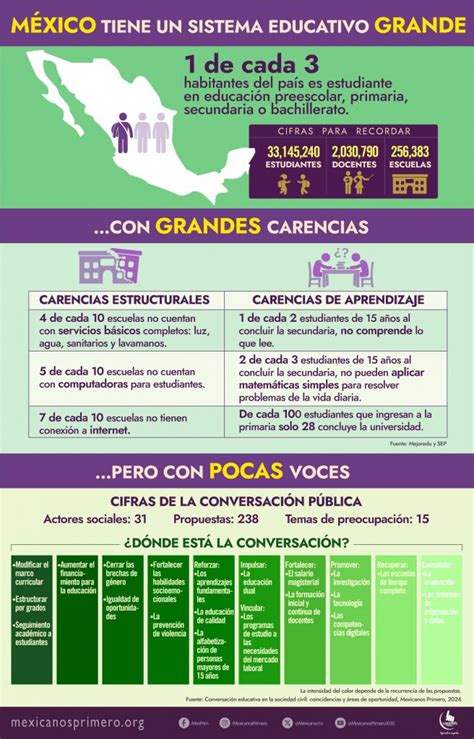 Infografía sobre las carencias institucionales: falta de financiamiento, limitación de visitas y ausencia de objetos personales.