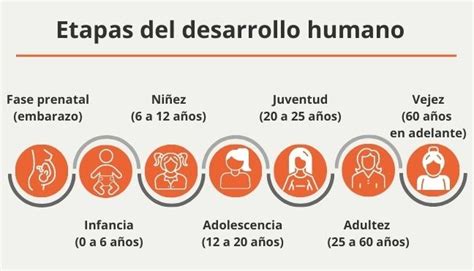Esquema cronológico que ilustra las etapas del desarrollo humano desde el periodo prenatal hasta la vejez avanzada.
