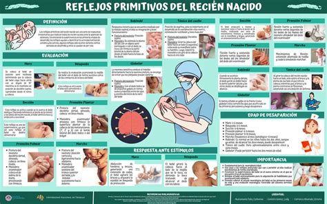 Infografía sobre los reflejos primitivos del recién nacido y su importancia para la supervivencia.