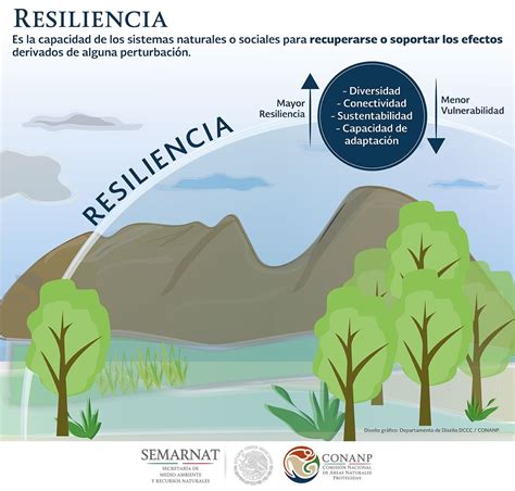 Esquema comparativo de resiliencia y vulnerabilidad en ecosistemas