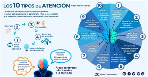esquema comparativo entre la atención en el centro escolar frente a la atención en el hogar