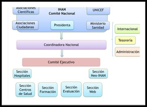 Esquema de la estructura del SENAME y sus centros de cuidado