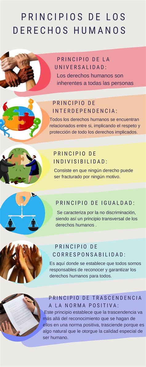 Infografía sobre los principios de legalidad, proporcionalidad y diversidad de las sanciones