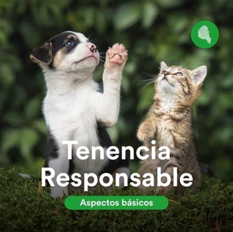 Ilustración de seguridad en la comunidad y tenencia responsable de mascotas