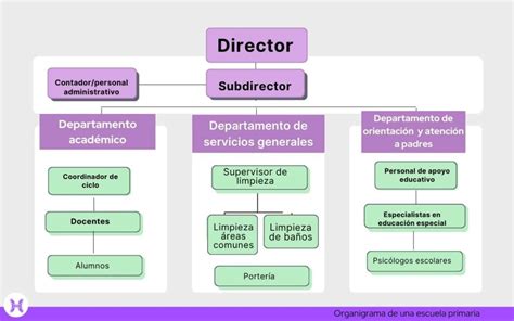 Infografía de la estructura organizativa de la plaza de los jubilados