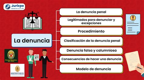 Esquema del flujo legal: Denuncia -> Intervención del Tribunal de Familia -> Evaluación de medidas de protección -> Posible internación o custodia familiar