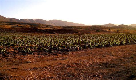 Gráfica del valor de las principales actividades económicas de Baja California 2003-2014